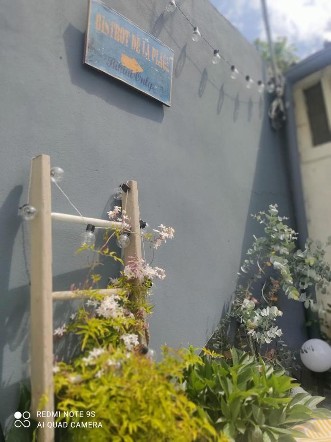 Le Cocon Des Hortillonnages D'Amiens Camon  Kültér fotó