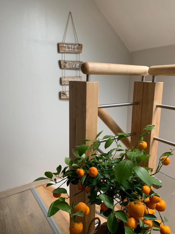 Le Cocon Des Hortillonnages D'Amiens Camon  Kültér fotó