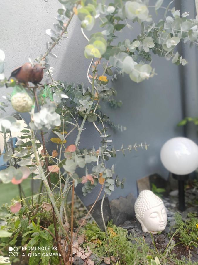 Le Cocon Des Hortillonnages D'Amiens Camon  Kültér fotó