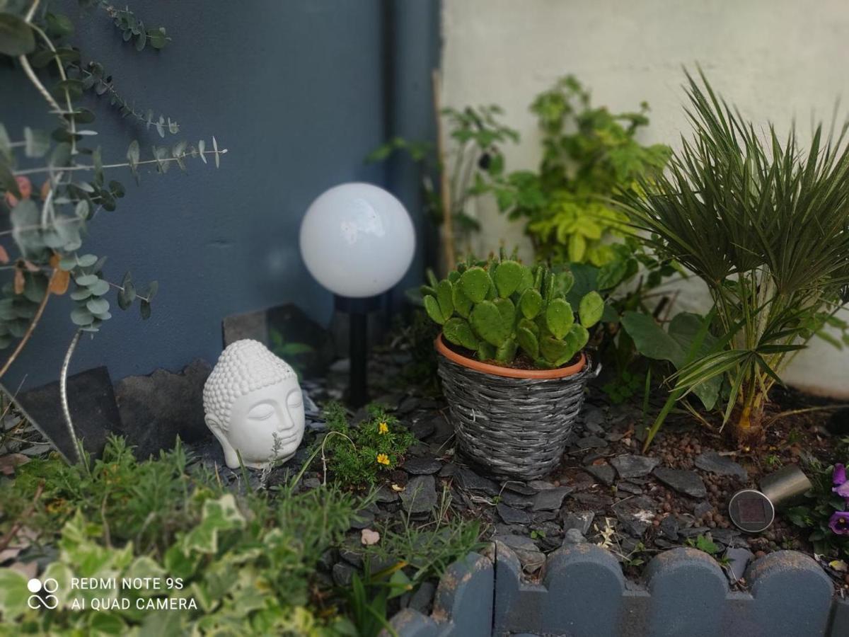 Le Cocon Des Hortillonnages D'Amiens Camon  Kültér fotó
