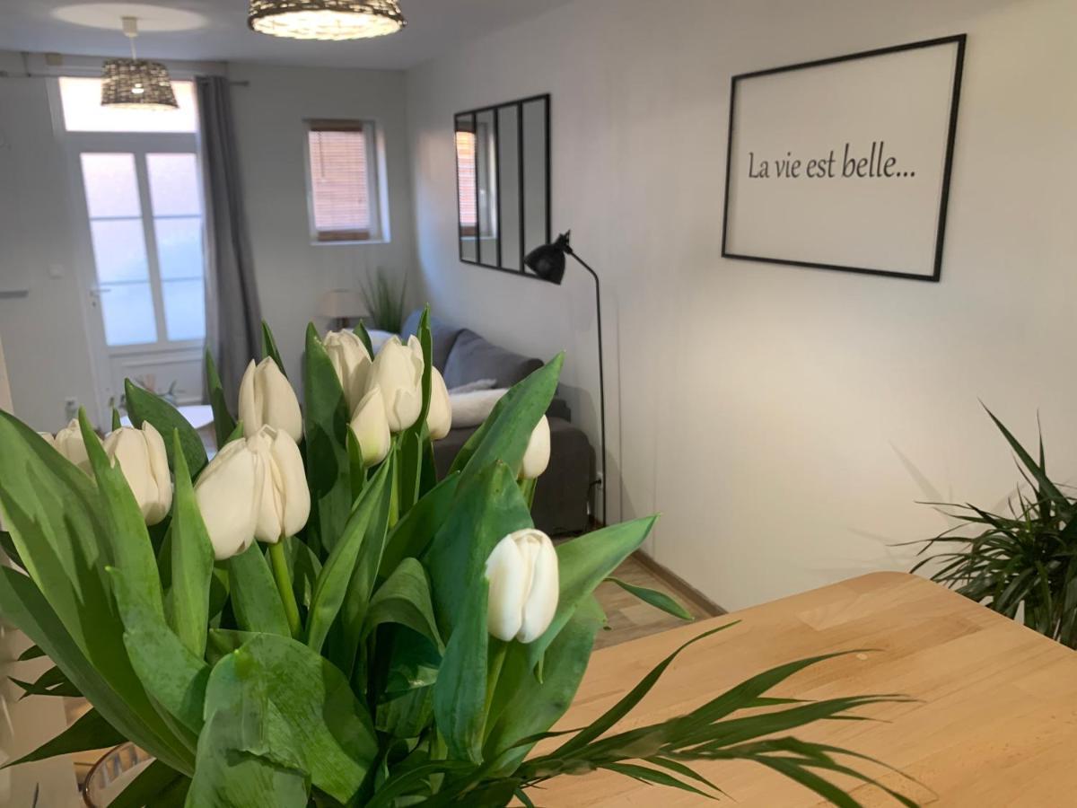 Le Cocon Des Hortillonnages D'Amiens Camon  Kültér fotó