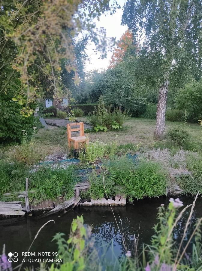 Le Cocon Des Hortillonnages D'Amiens Camon  Kültér fotó