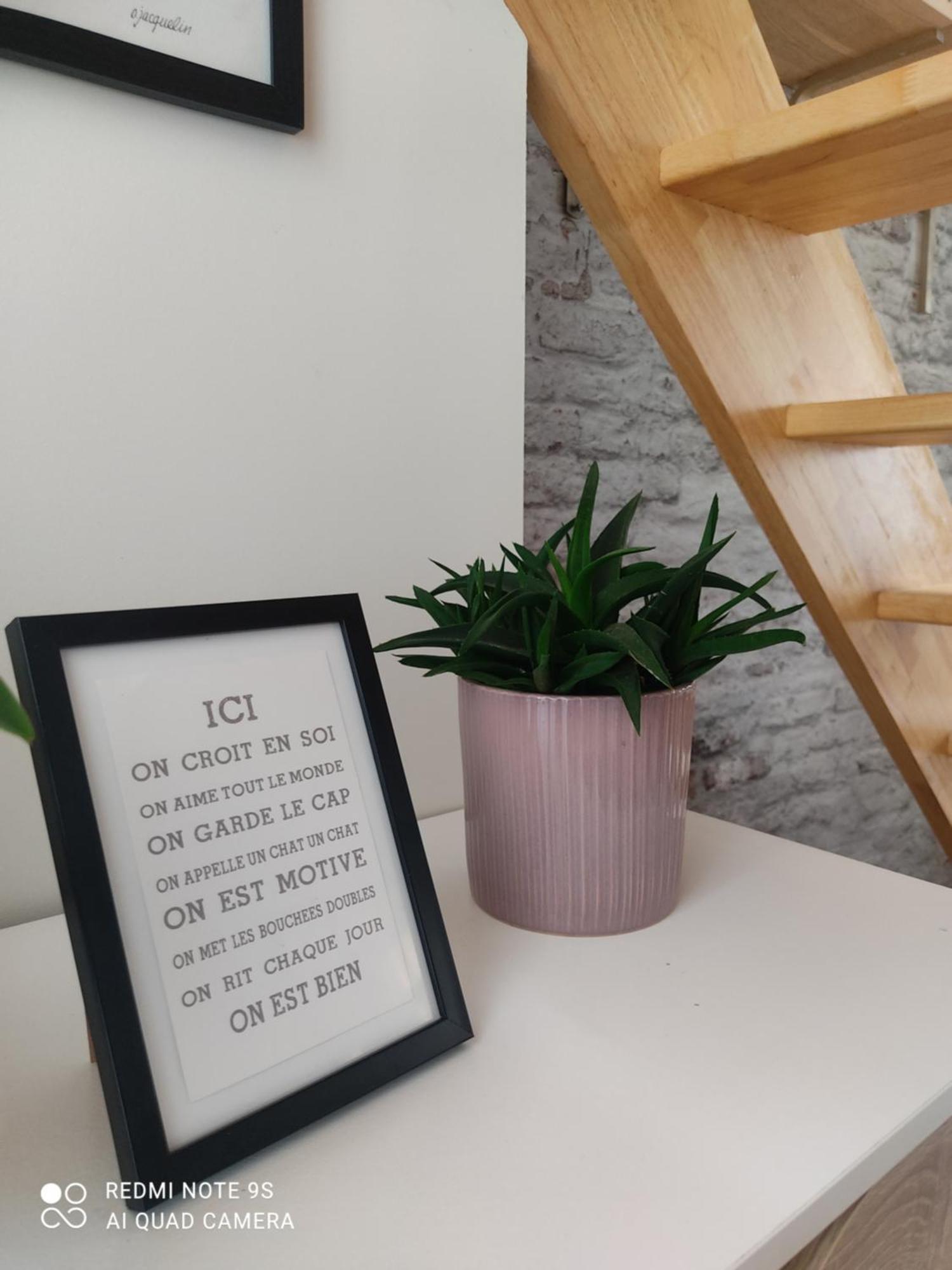 Le Cocon Des Hortillonnages D'Amiens Camon  Kültér fotó