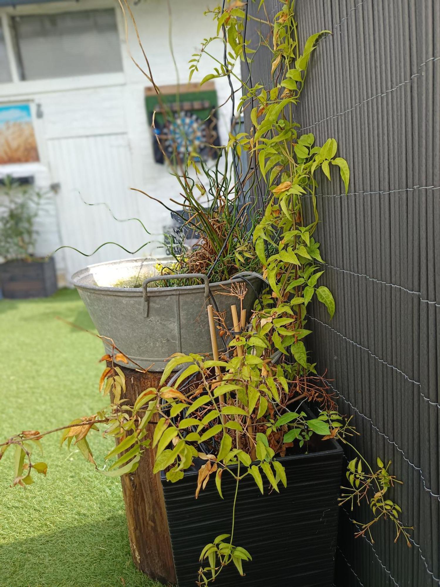 Le Cocon Des Hortillonnages D'Amiens Camon  Kültér fotó