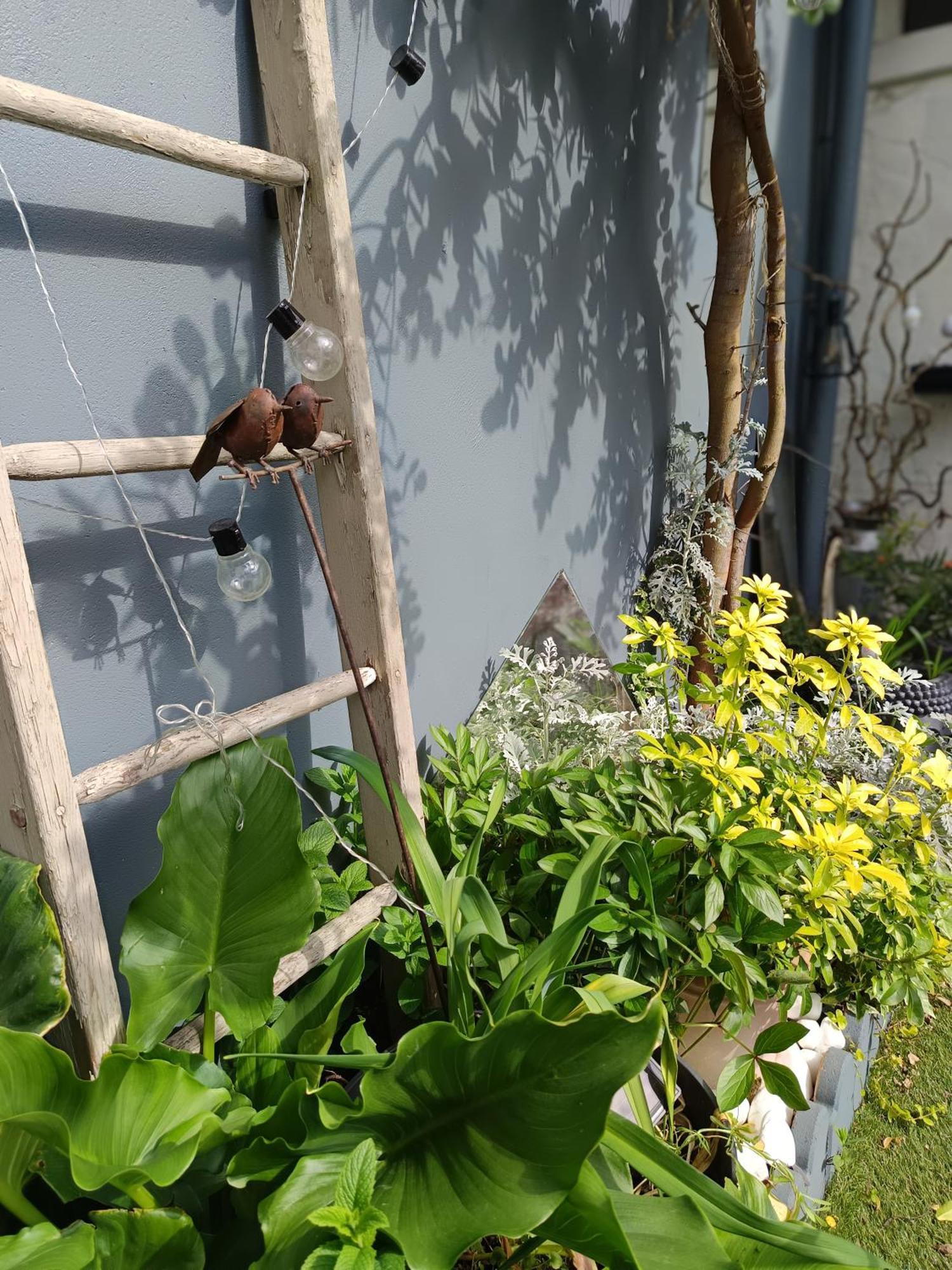 Le Cocon Des Hortillonnages D'Amiens Camon  Kültér fotó